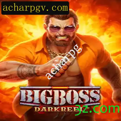 BigBoss: Uma Nova Era no Universo dos Acharpgs